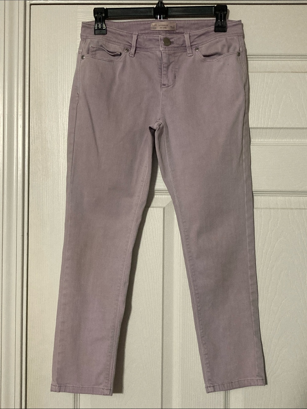 ⭐️⭐️ J. Jill Lavender Skinny Jeans - size 2P